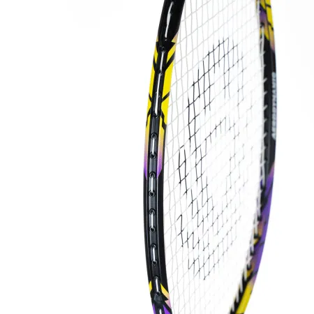 Ракетка бадм. TORRES Carbon PRO6, BD20521,для продв., стерж/обод из карбона,со струнами, фиол за 4&nbsp;477.80 ₽ купить в Ярославле