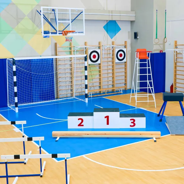 Щит для метания навесной на шведскую стенку (фанера) 700х700 ZAVODSPORTA за 8&nbsp;960 ₽ в Ярославле