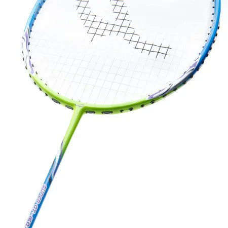 Ракетка для бадм. DOUBLE FISH JINQUE QT-1601, для продвинутых,карбон со струнами,литая,голубой за 3&nbsp;015.80 ₽ купить в Ярославле