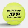Мяч теннисный Dunlop ATP Championship 4B, 601627, уп.4ш, одобр. ITF, нат.резина,фетр. за 1&nbsp;242.70 ₽ купить в Ярославле