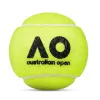 Мяч теннисный Dunlop Australian Open, 601601, уп..3 шт, одобр.ITF,фетр,нат.резина, желтый за 1&nbsp;171.30 ₽ купить в Ярославле