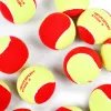 Мяч теннисный детский NS Red, 5021009, уп.12 шт, резина, шерть, нейлон, желто-красный за 2&nbsp;941 ₽ купить в Ярославле