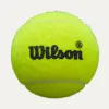 Мяч для падела Wilson Premier Padel Speed, WR8908501001, уп.3 шт, FIP Appr.,сукно, нат.резина,желтый за 1&nbsp;235.90 ₽ купить в Ярославле