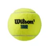 Мяч теннисный WILSON Tour Premier All Court, WRT119400, одобр.ITF, фетр, нат.резина,. уп.4 шт за 1&nbsp;676.20 ₽ купить в Ярославле