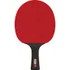 Ракетка для н/т DOUBLE FISH Black Carbon King Racket 3***, для професс.,ITTF Appr.,накл.2,1,мм за 4&nbsp;346.90 ₽ купить в Ярославле